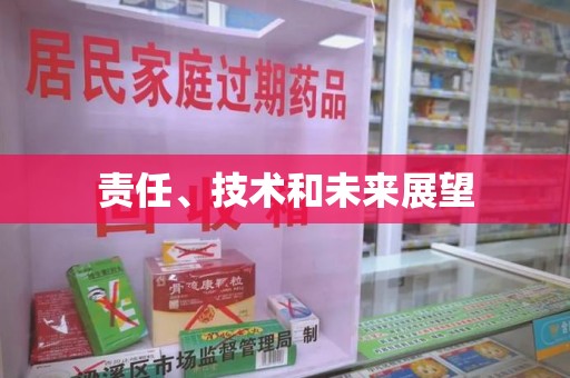天津责任、技术和未来展望