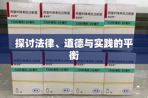 天津探讨法律、道德与实践的平衡