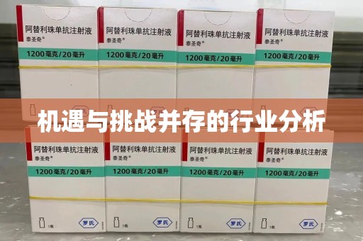 天津机遇与挑战并存的行业分析