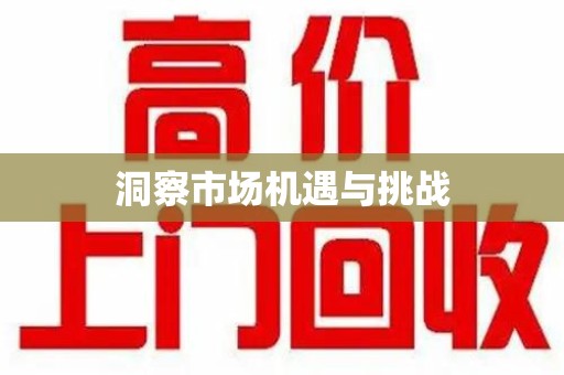 天津洞察市场机遇与挑战