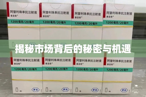 天津揭秘市场背后的秘密与机遇