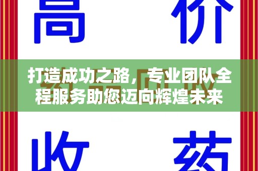 天津打造成功之路，专业团队全程服务助您迈向辉煌未来