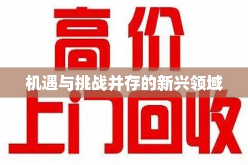 天津机遇与挑战并存的新兴领域