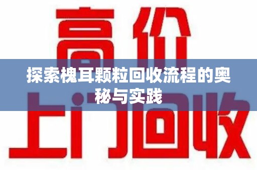 天津探索槐耳颗粒回收流程的奥秘与实践