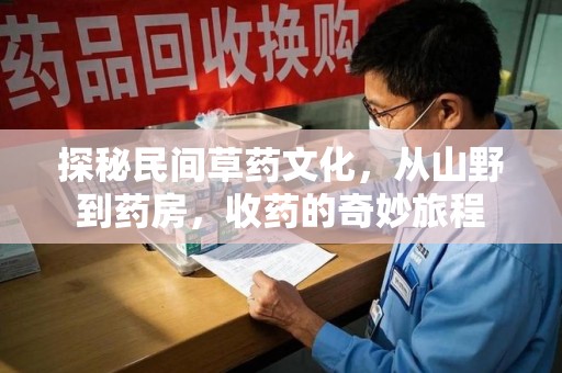 天津探秘民间草药文化，从山野到药房，收药的奇妙旅程