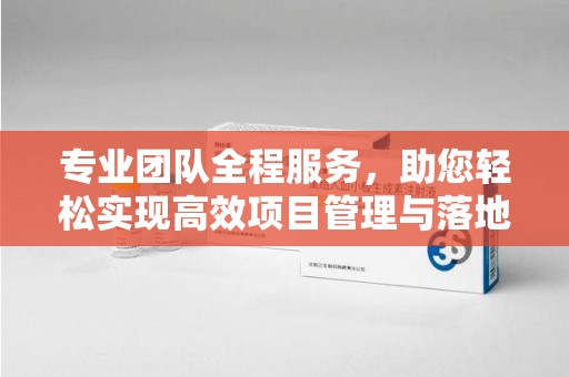 天津专业团队全程服务，助您轻松实现高效项目管理与落地