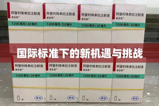天津国际标准下的新机遇与挑战